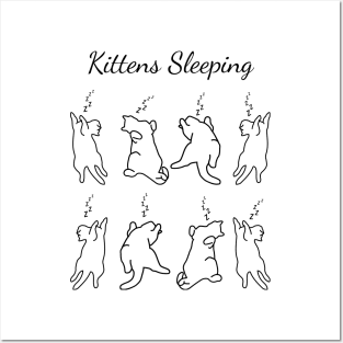 Kittens sleeping lazy cute cats Posters and Art
